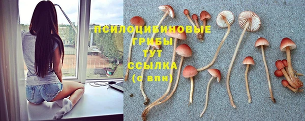 скорость Алексин